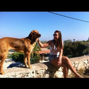 Meet your Posher, Orian